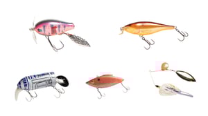 「この色で釣りたい！」Basser編集長の偏愛ルアーカラー12選