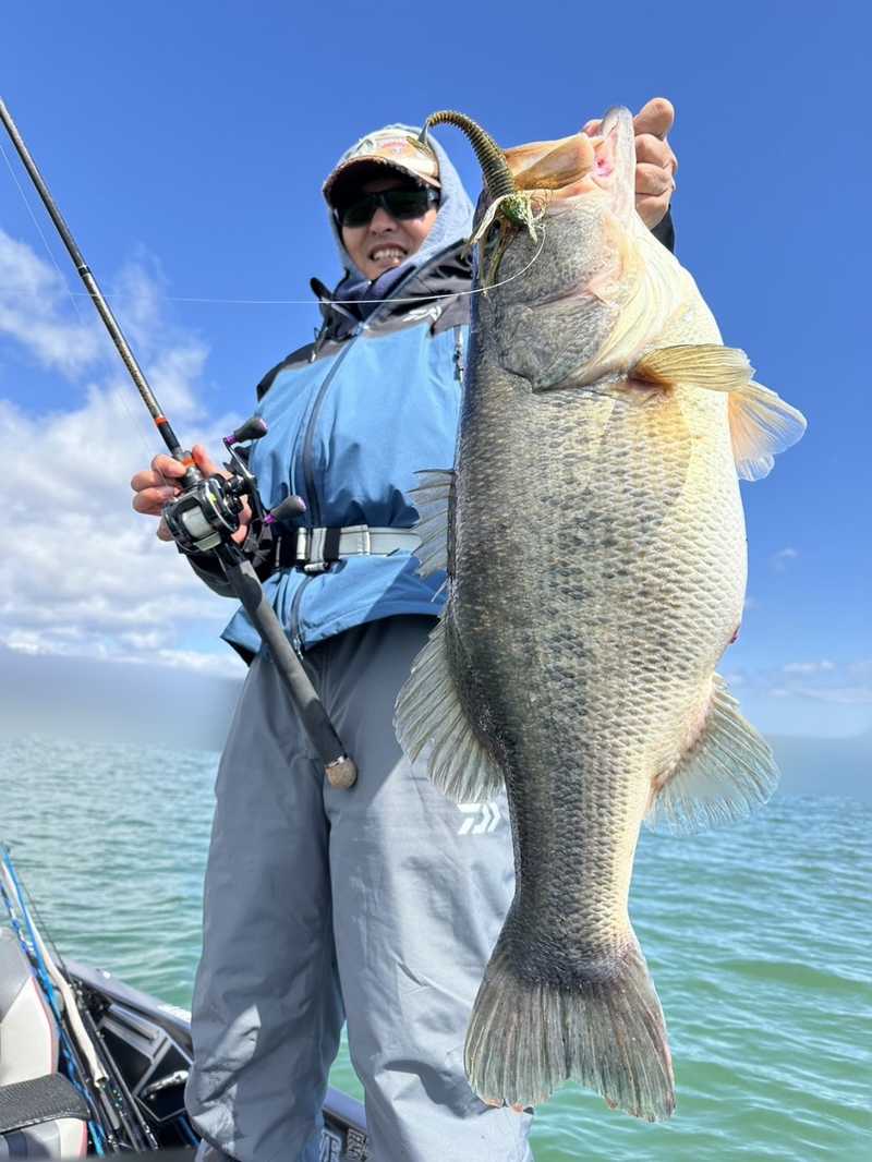 送料180！ 即決早い者勝ち！ 琵琶湖ガイド 前田純 御用達！ 大人気商品！ デプス クラップクロー4インチの３色セット！　新品未使用品！３