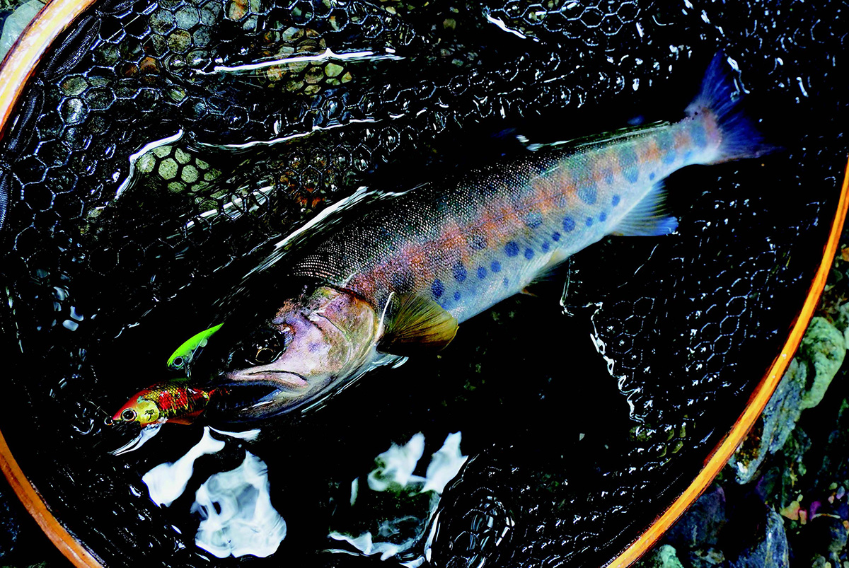 渓流ヤマメ・イワナ釣り 風間俊春さんおすすめのミノーと使い方 | つり