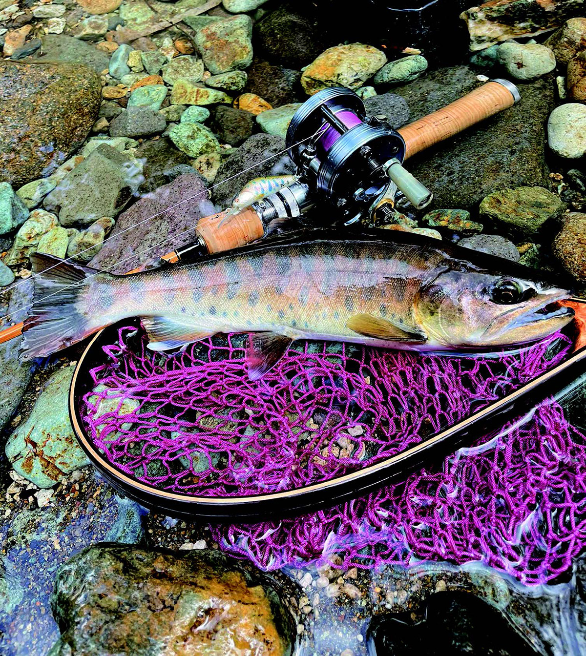 渓流ヤマメ釣り 榊原希望さんおすすめのミノーと使い方 | 全国おすすめ