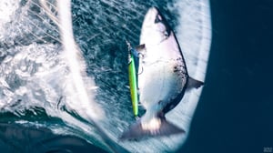 可変フォールでサクラマスを魅了。人気ジグ「マスラッシュ」の真価と新作の正体