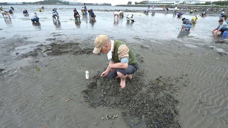 テやジョレンを使って斜めの角度で砂を削るように掘る