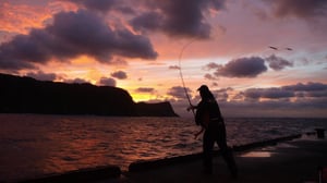 魚が一番釣れる時間帯「マヅメ」の秘密。活性が上がる理由と例外の釣りとは？