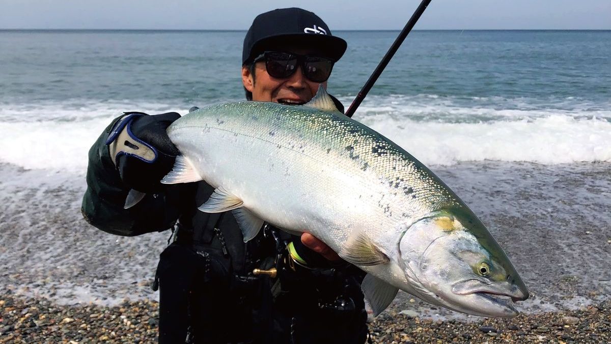 ミノー＆ジグミノーの北海道海サクラマス釣り。 第2回（全3回