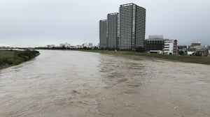 「台風前は魚が釣れる」は本当？追跡調査が明かした魚の行動変化
