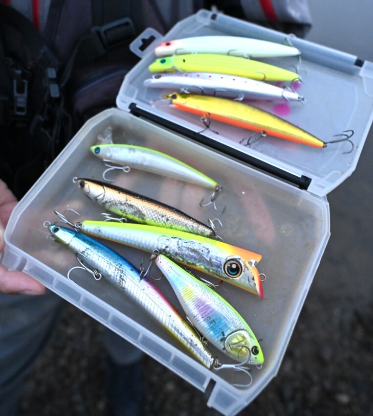 落ちアユシーバス考【釣果を分ける“魚の動向”の読み方と、“ルアーの