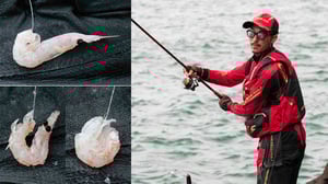 釣果が変わる「オキアミの付け方」。グレ釣り王者・友松信彦のエサ使い