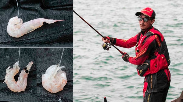 釣果が変わる「オキアミの付け方」。グレ釣り王者・友松信彦のエサ使い