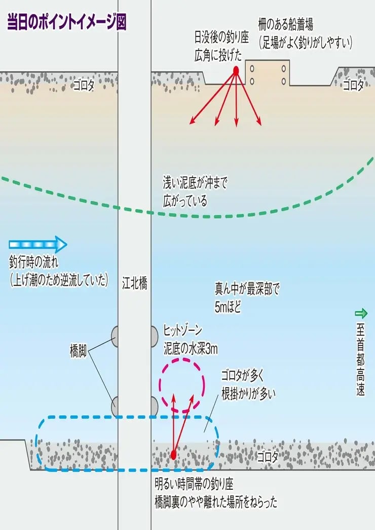 荒川・江北橋で狙ったポイント