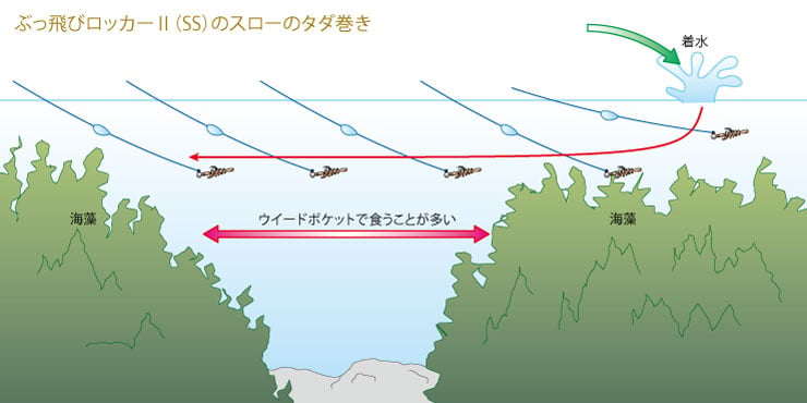 メバリング・アジングの「フロートリグ」とは？ 仕掛けと使い方の基本を解説！ | 魚種別釣りガイド