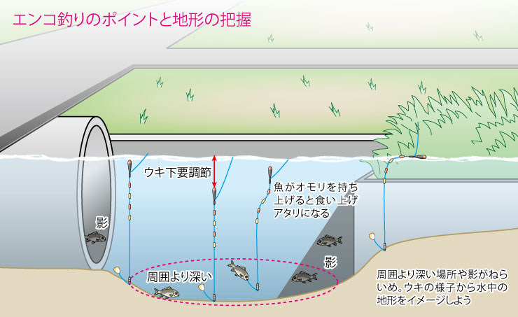 マブナ仕掛け。エンコ釣りと探り釣りの基本 その2（全3回） | つり人