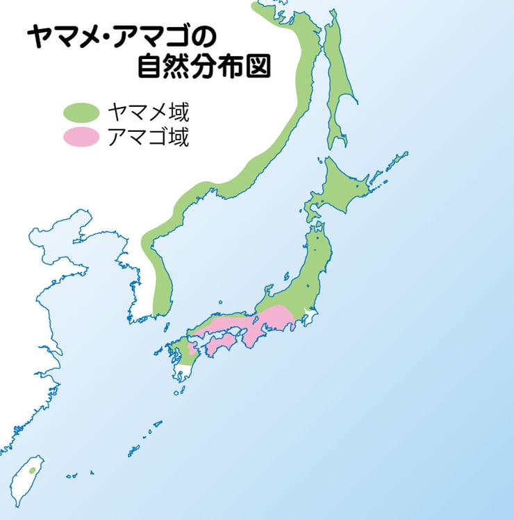 p-052-055-yamame-map