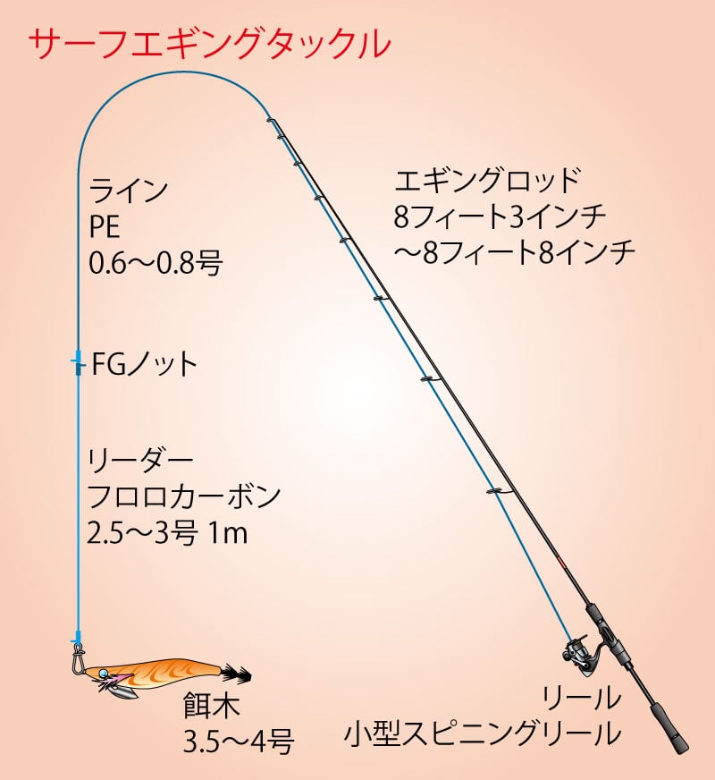 サーフのエギング入門｜混雑とは無縁の釣り場でアオリイカを釣る方法 | 魚種別釣りガイド