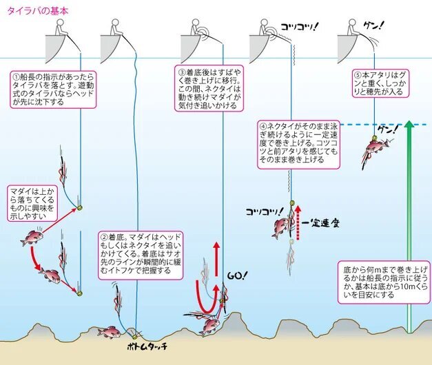 p-100-104-image--1