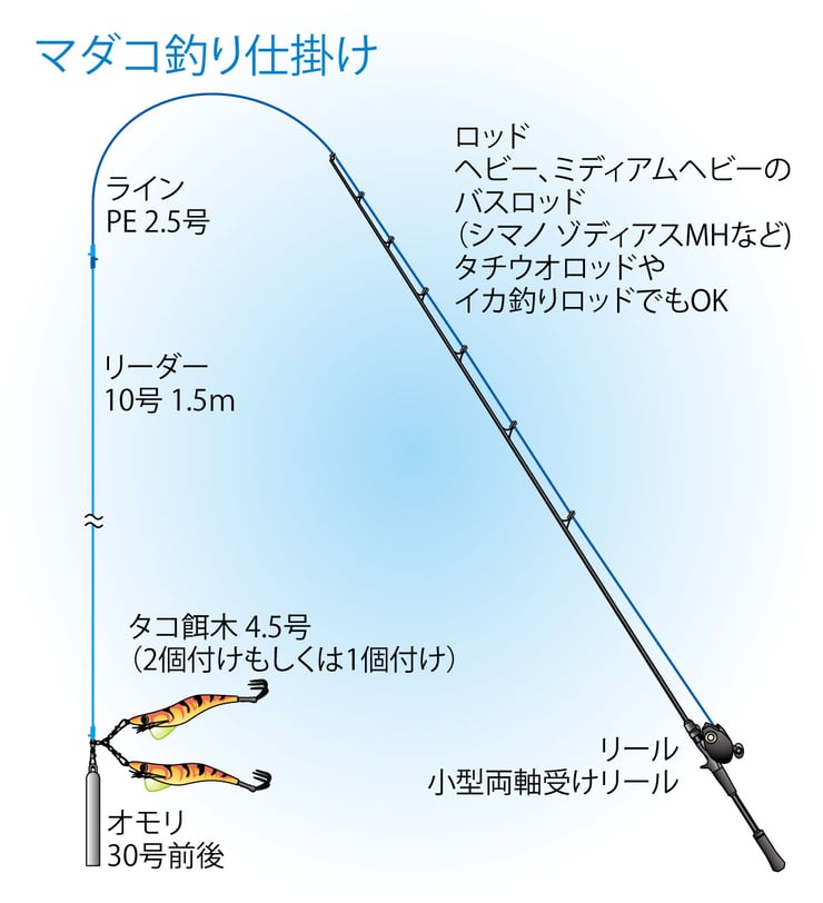 神奈川県 横浜チャーターボートで４種目の釣りを楽しむ マダコ アジ シロギス クロダイ その3 全3回 全国おすすめ釣り場