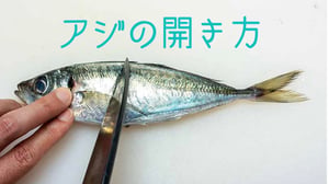 【アジの捌き方】三枚おろしと開き方を写真で解説｜料理に合わせた選び方