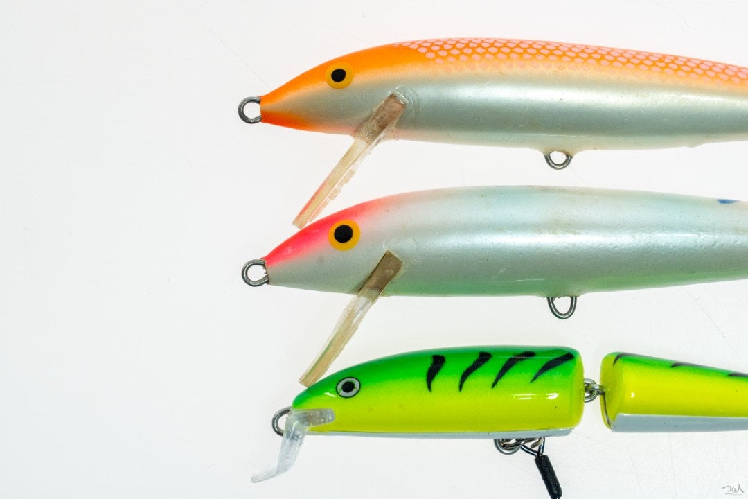 ラパラルアーの顔の違い