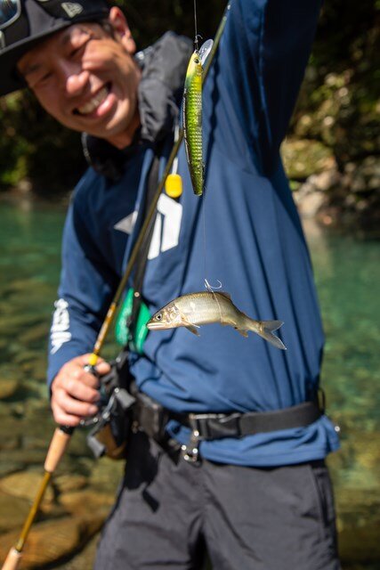 熊野アユ