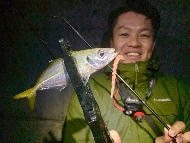 アジングセット　イージーシェイカー　ソードビーム　マキジグ Ajing] Easy Shaker recommended color fishing that will give you