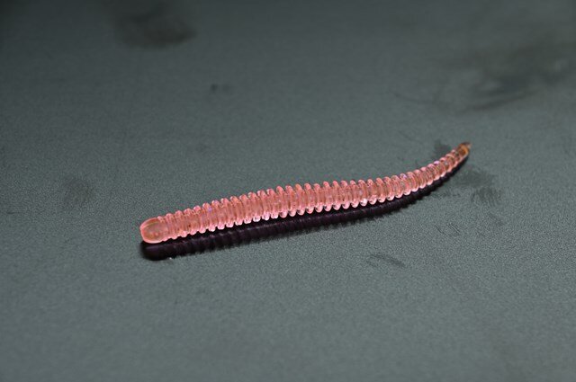 引退品　アジングセット　ミザール　イージーシェイカー 新色登場！イージーシェイカーにアジング専用カラーが追加！ | つり人