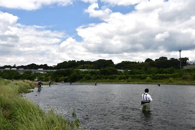 人気ポイントの座架依橋上流部。広い瀬には解禁初期から天然アユが充満している
