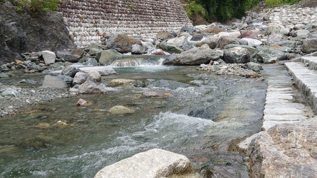 歩きやすく開けた川相は渓流釣りデビューにももってこい