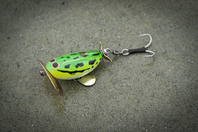 どんぐりマウスとでんぐりガエルでデイナマ散歩に行く│使い分けなど