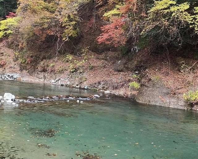 エリアトラウト】関東のおすすめ管理釣り場10選 | つり人オンライン