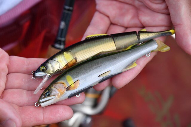 滋賀県／安曇川 アユルアーポイント攻略方法 | つり人オンライン