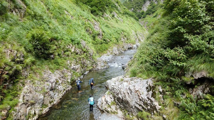 渓流釣り
