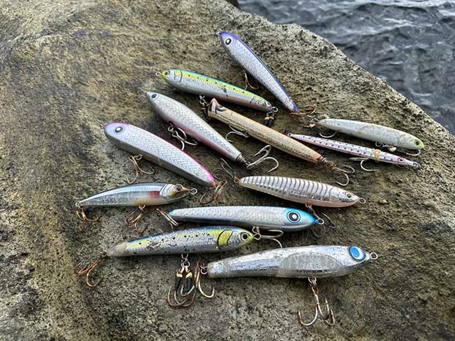 房総半島でヒラマサをねらうために知っておきたいこと4選 | つり人
