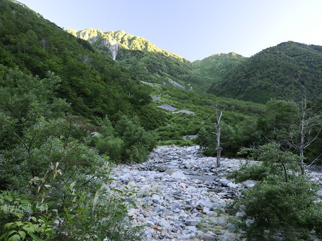 標高2000m超えの環境に泳ぐイワナ