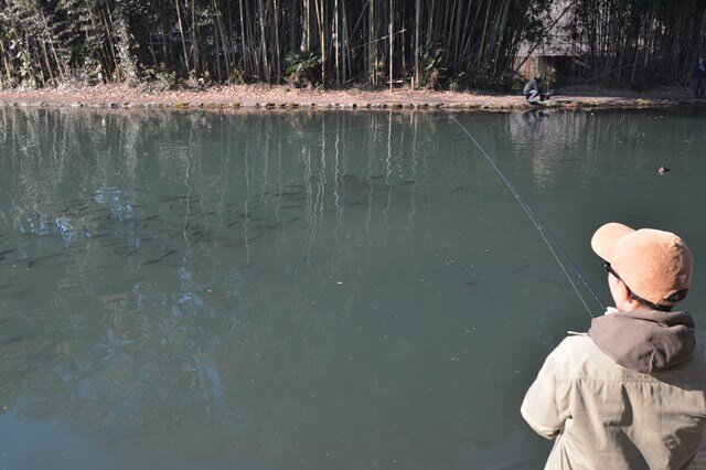 管理釣り場で表層を攻略する方法とは│すそのフィッシングパークで実釣