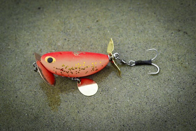 どんぐりマウスとでんぐりガエルでデイナマ散歩に行く│使い分けなど