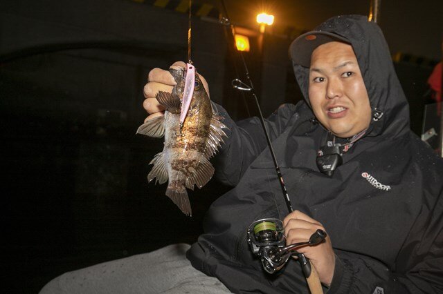 槇悠太郎さんも小気味よい引きとメバルの愛らしさにうっとり