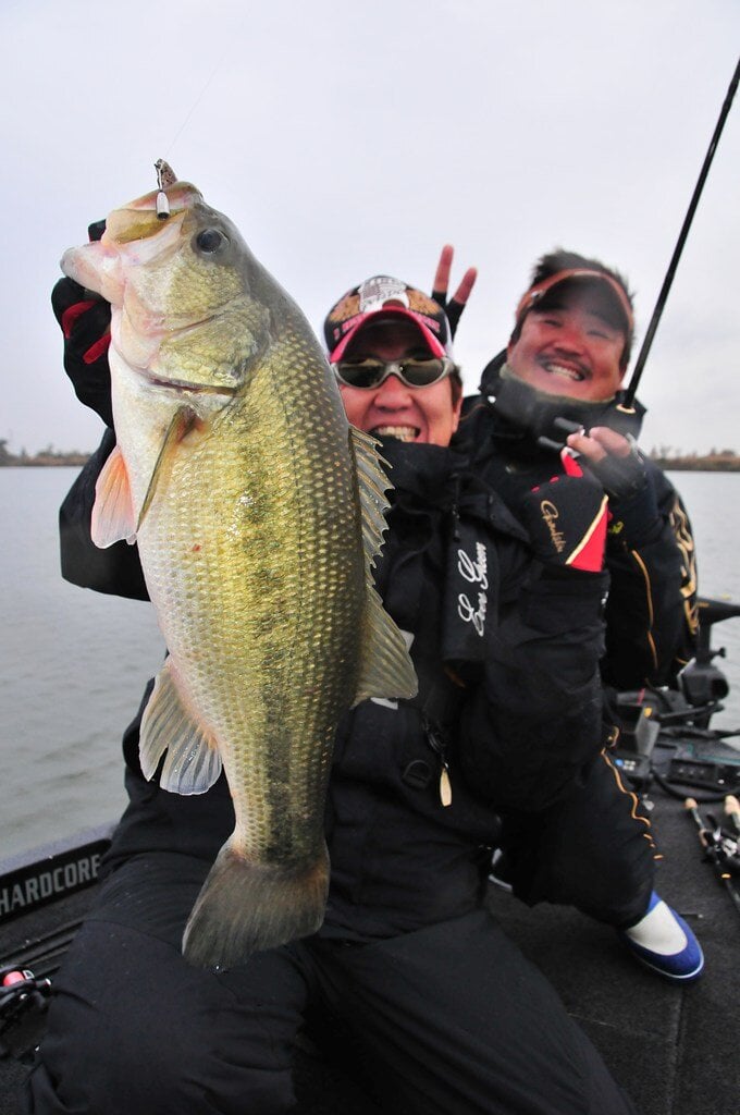 Basser
