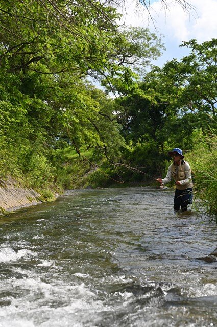 流心と対岸の緩流帯をピンポイントでねらうサトウ編集長。慣れないキャストにもどかしくなりつつも本気モード全開で釣り上がる