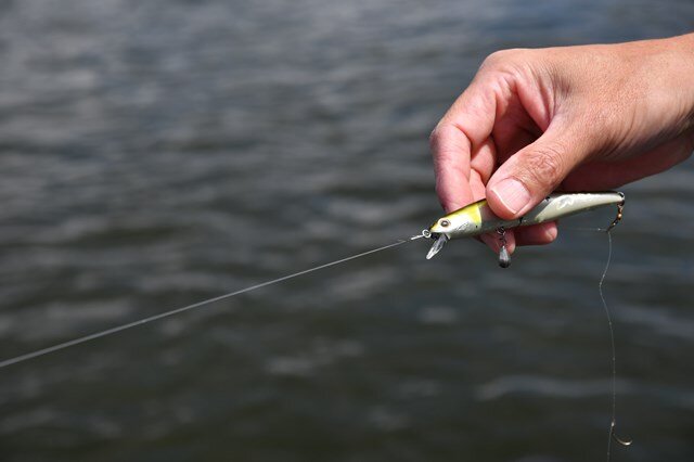 クリアな部分を切ってマーカーが水面からちょうど出るくらいに調整するのが村上流。マーキング部分にはルアーを結ばないようにしているという。ラインの色の有無でアユの反応が変わるかどうかは分からないが気持ちの問題だそう