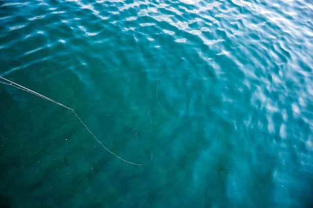 岩崎さんは水面にわざとイトフケを作りその動きを見て着底やアタリを取っていた。風がある場合でも安定してフォールのアタリを拾うことができる