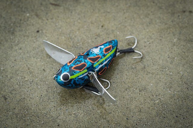 どんぐりマウスとでんぐりガエルでデイナマ散歩に行く│使い分けなど