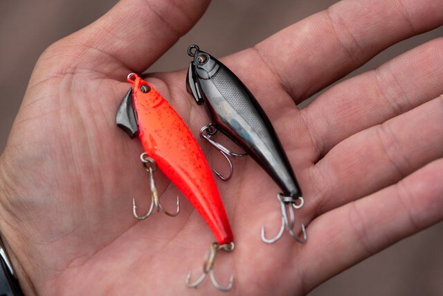 壁チヌのポテンシャル│東京湾でも楽しめる | つり人オンライン