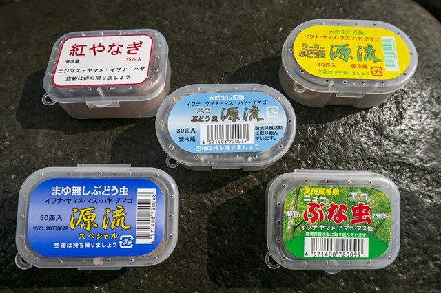 「源流」シリーズは30 匹入りが多く「紅やなぎ」は25 匹入り、「ぶな虫」は25 匹入り、「源流S」のみ40 匹入りとなっている。井上さんは1日の釣行で2 パックは使用する