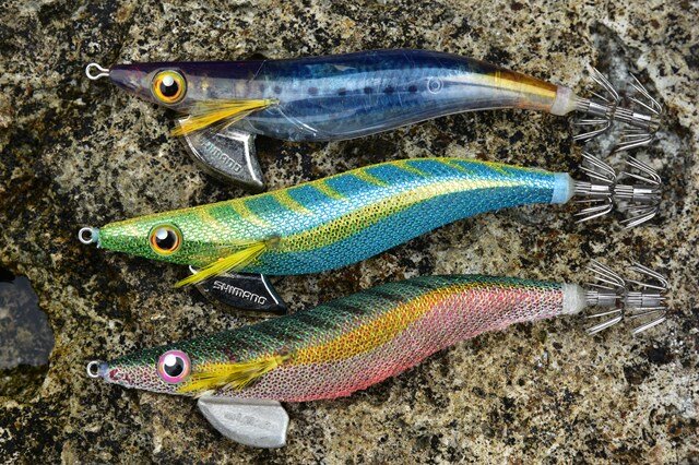 静岡県／松崎町雲見・沖トンビ エギングのエキスパートが釣行に出かけ