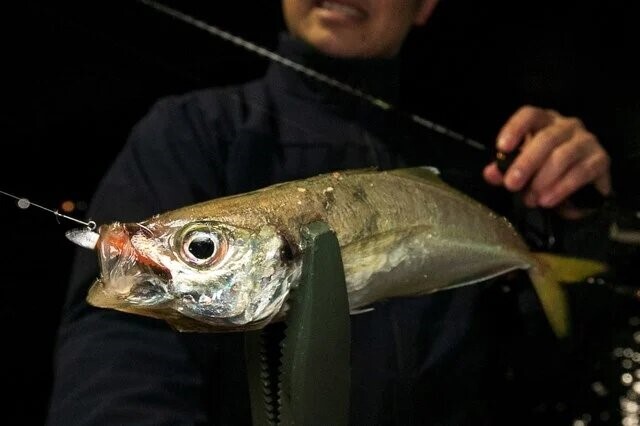 アジ