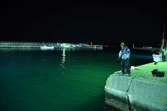 常夜灯の明かりで魚体が見えたがバイト直前で見切られてしまう