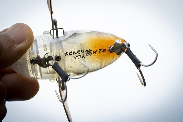 どんぐりマウスとでんぐりガエルでデイナマ散歩に行く│使い分けなど