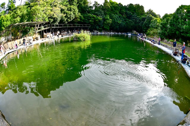 エリアトラウト】関東のおすすめ管理釣り場10選 | つり人オンライン