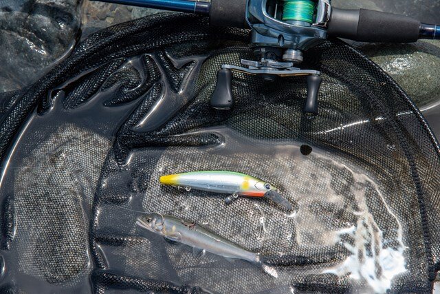 アユルアー釣りを1年やって気づいたこと | 魚種別釣りガイド