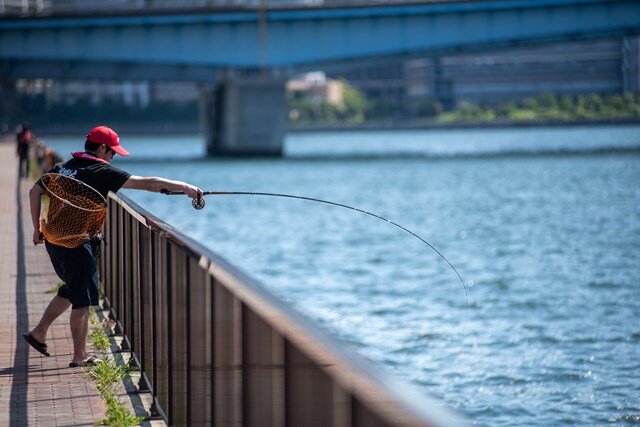 東京都／中央区晴海 黒鯛工房のタックルで釣り歩く | つり人オンライン
