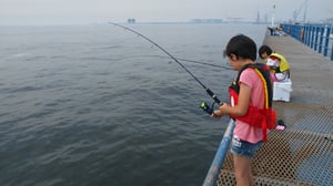 実は奥深いサビキ釣り。初心者が釣果を伸ばすコツと疑似餌で釣れる仕組み